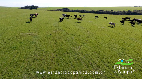 IMAGEM FIXA NA COXILHA.00_03_00_14.Quadro022_d0a75b192fd56fc4f08ec917d054ae0bacd76de6.jpg